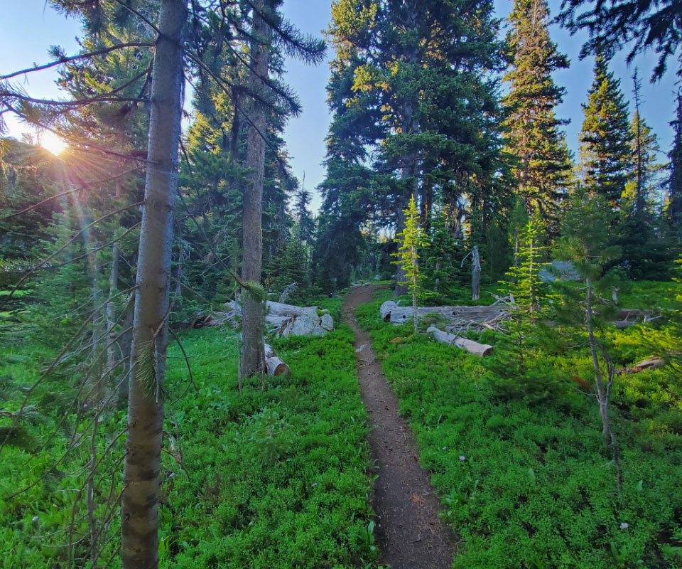 bakers creek mountain biking