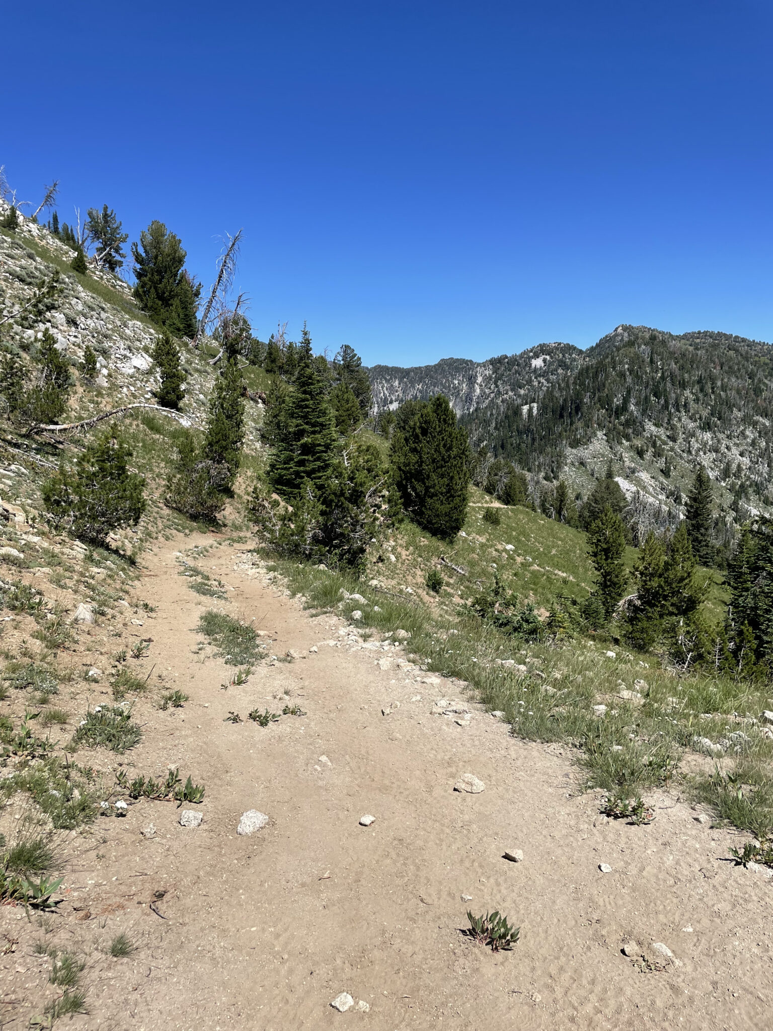 Northern Elkhorn Mountains The Trailhead in Baker City